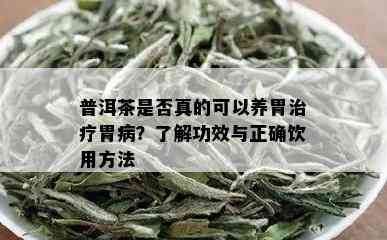 普洱茶是否真的可以养胃治疗胃病？了解功效与正确饮用方法