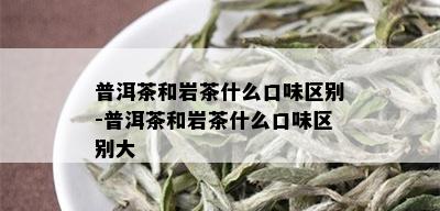 普洱茶和岩茶什么口味区别-普洱茶和岩茶什么口味区别大