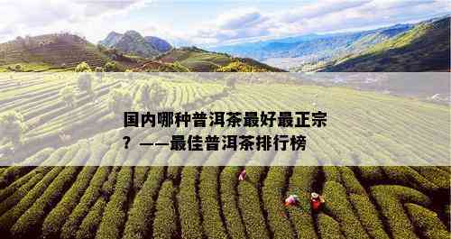 国内哪种普洱茶更好最正宗？——更佳普洱茶排行榜