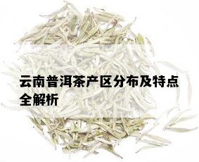 云南普洱茶产区分布及特点全解析