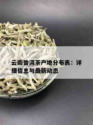 云南普洱茶产地分布表：详细信息与最新动态