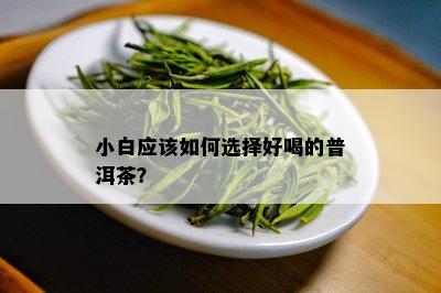 小白应该如何选择好喝的普洱茶？