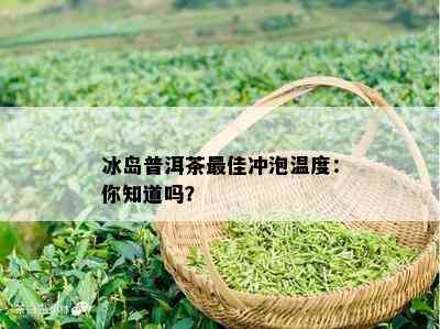 冰岛普洱茶更佳冲泡温度：你知道吗？