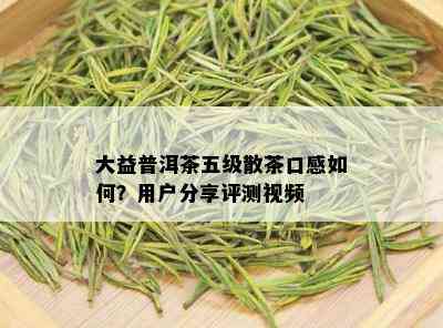 大益普洱茶五级散茶口感如何？用户分享评测视频