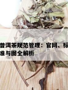 普洱茶规范管理：官网、标准与图全解析