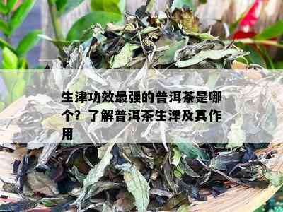 生津功效最强的普洱茶是哪个？了解普洱茶生津及其作用