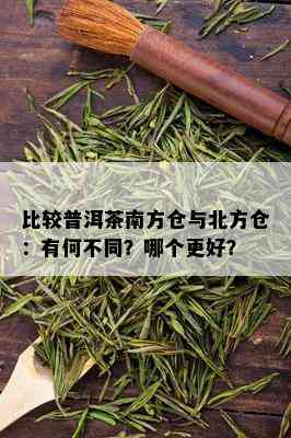 比较普洱茶南方仓与北方仓：有何不同？哪个更好？