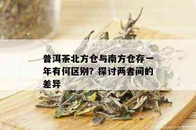 普洱茶北方仓与南方仓存一年有何区别？探讨两者间的差异