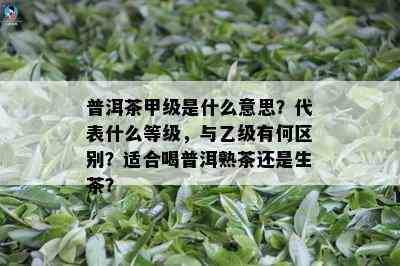 普洱茶甲级是什么意思？代表什么等级，与乙级有何区别？适合喝普洱熟茶还是生茶？