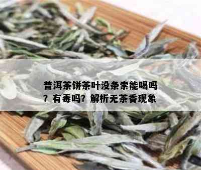 普洱茶饼茶叶没条索能喝吗？有吗？解析无茶香现象