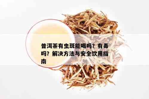 普洱茶有虫斑能喝吗？有吗？解决方法与安全饮用指南