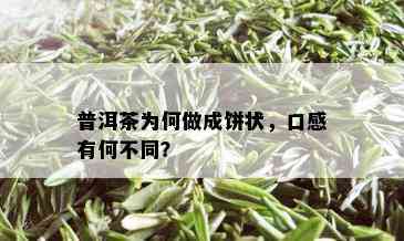 普洱茶为何做成饼状，口感有何不同？