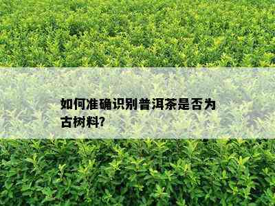 如何准确识别普洱茶是否为古树料？