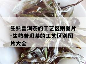 生熟普洱茶的工艺区别图片-生熟普洱茶的工艺区别图片大全