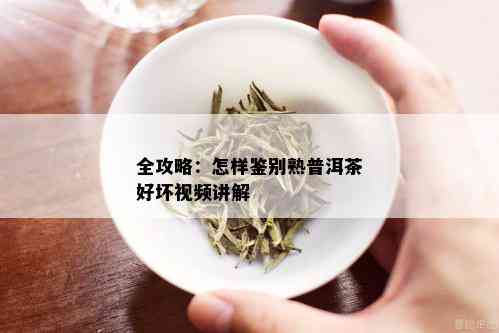 全攻略：怎样鉴别熟普洱茶好坏视频讲解