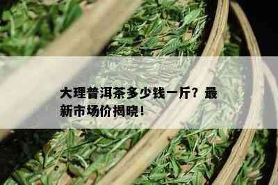 大理普洱茶多少钱一斤？最新市场价揭晓！