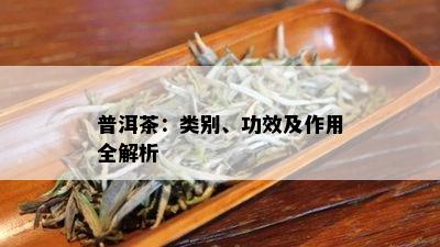 普洱茶：类别、功效及作用全解析