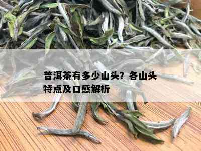 普洱茶有多少山头？各山头特点及口感解析