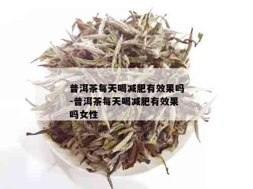 普洱茶每天喝减肥有效果吗-普洱茶每天喝减肥有效果吗女性