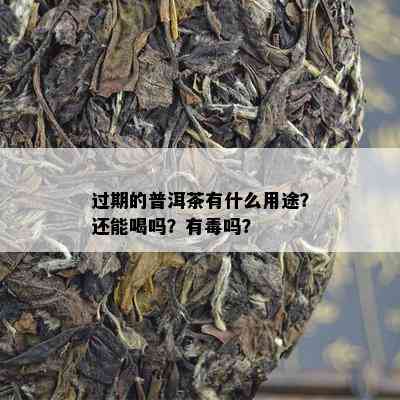 过期的普洱茶有什么用途？还能喝吗？有吗？