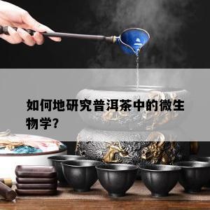 如何地研究普洱茶中的微生物学？