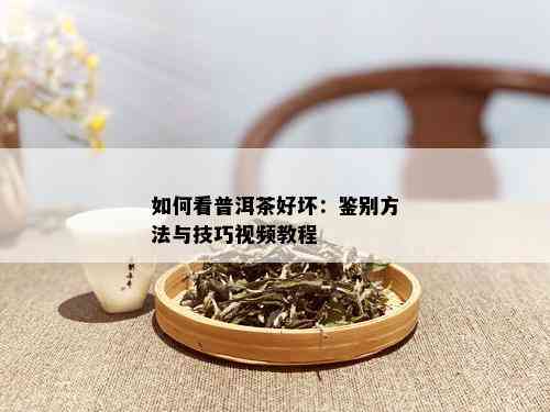 如何看普洱茶好坏：鉴别方法与技巧视频教程