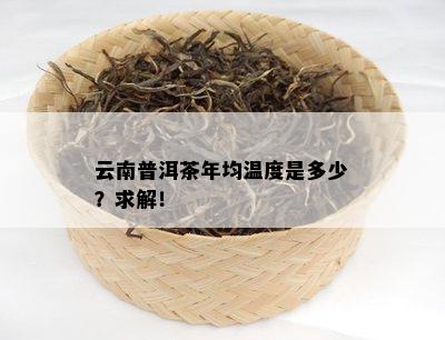 云南普洱茶年均温度是多少？求解！