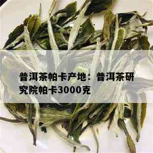 普洱茶帕卡产地：普洱茶研究院帕卡3000克