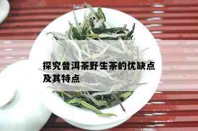 探究普洱茶野生茶的优缺点及其特点