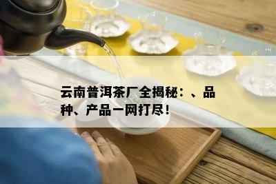 云南普洱茶厂全揭秘：、品种、产品一网打尽！