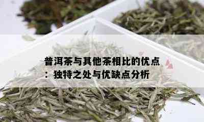 普洱茶与其他茶相比的优点：独特之处与优缺点分析