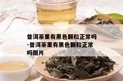 普洱茶里有黑色颗粒正常吗-普洱茶里有黑色颗粒正常吗图片