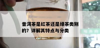 普洱茶是红茶还是绿茶类别的？详解其特点与分类