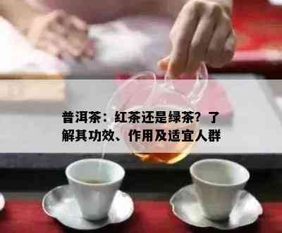 普洱茶：红茶还是绿茶？了解其功效、作用及适宜人群