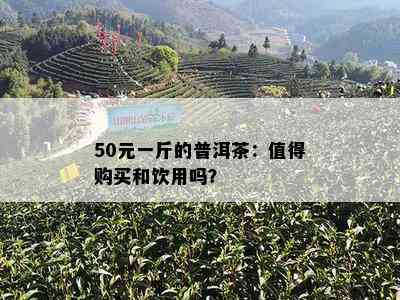 50元一斤的普洱茶：值得购买和饮用吗？