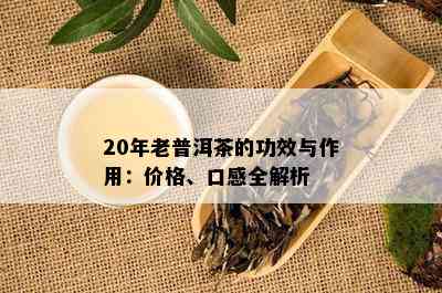 20年老普洱茶的功效与作用：价格、口感全解析