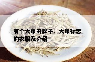 有个大象的牌子：大象标志的衣服及介绍