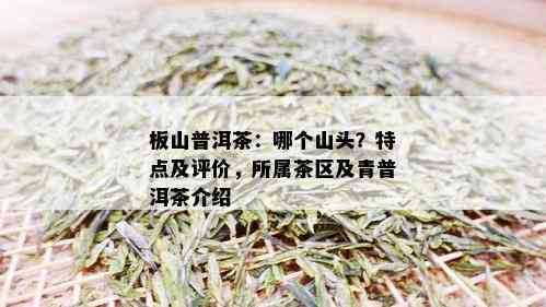 板山普洱茶：哪个山头？特点及评价，所属茶区及青普洱茶介绍