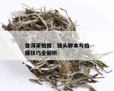 普洱茶拍摄：镜头脚本与拍摄技巧全解析