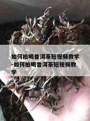 如何拍喝普洱茶短视频教学-如何拍喝普洱茶短视频教学