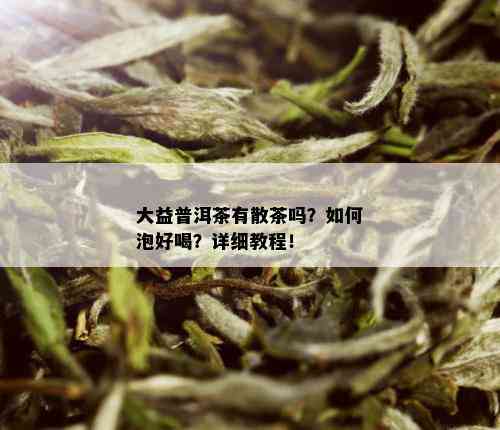 大益普洱茶有散茶吗？如何泡好喝？详细教程！