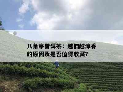 八角亭普洱茶：越旧越淳香的原因及是否值得收藏？