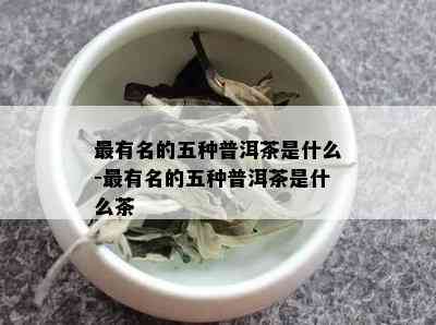 最有名的五种普洱茶是什么-最有名的五种普洱茶是什么茶