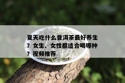 夏天吃什么普洱茶更好养生？女生、女性都适合喝哪种？视频推荐