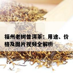 福州老树普洱茶：用途、价格及图片视频全解析