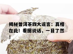 揭秘普洱茶四大谣言：真相在此！看图说话，一目了然！