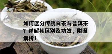 如何区分传统白茶与普洱茶？详解其区别及功效，附图解析！