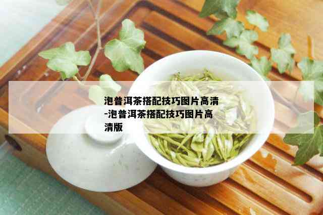 泡普洱茶搭配技巧图片高清-泡普洱茶搭配技巧图片高清版