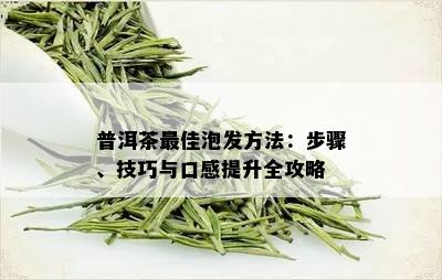 普洱茶更佳泡发方法：步骤、技巧与口感提升全攻略