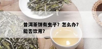 普洱茶饼有虫子？怎么办？能否饮用？